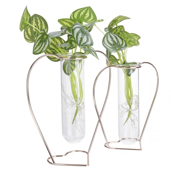 Crystal Glass Iron Test Tube Vase in Wooden Stand Flower Pots Plant Crystal Glass Iron Test Tube Vase in Wooden Stand Flower Pots Plant