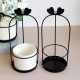Nordic Vase Hanging Basket Wrought Iron Flower Pot Hanging Iron Frame Flower Stand Hydroponic Flower Pot Modern Wall Decoration Decoration Nordic Vase Hanging Basket Wrought Iron Flower Pot Hanging Iron Frame Flower Stand Hydroponic Flower Pot Modern Wall Decoration Decoration