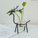 Desktop Hydroponic Flowerpot Decoration Fresh Desktop Small Fish Tank Office Desk Living Room Creative Plant Vase Decoration for Home Office Desktop Hydroponic Flowerpot Decoration Fresh Desktop Small Fish Tank Office Desk Living Room Creative Plant Vase Decoration for Home Office