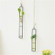 Large Glass Vase Hemp Rope Pendant Living Room Wall Hanging Green Plant Containers Large Glass Vase Hemp Rope Pendant Living Room Wall Hanging Green Plant Containers