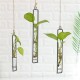 Large Glass Vase Hemp Rope Pendant Living Room Wall Hanging Green Plant Containers Large Glass Vase Hemp Rope Pendant Living Room Wall Hanging Green Plant Containers