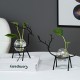Desktop Hydroponic Flowerpot Decoration Fresh Desktop Small Fish Tank Office Desk Living Room Creative Plant Vase Decoration for Home Office Desktop Hydroponic Flowerpot Decoration Fresh Desktop Small Fish Tank Office Desk Living Room Creative Plant Vase Decoration for Home Office