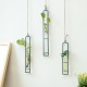Large Glass Vase Hemp Rope Pendant Living Room Wall Hanging Green Plant Containers Large Glass Vase Hemp Rope Pendant Living Room Wall Hanging Green Plant Containers