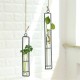 Large Glass Vase Hemp Rope Pendant Living Room Wall Hanging Green Plant Containers Large Glass Vase Hemp Rope Pendant Living Room Wall Hanging Green Plant Containers