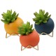 Home Decoration Nordic Light Luxury Living Room Bedroom Room Cabinet Desk Porch Decoration Home Decoration Nordic Light Luxury Living Room Bedroom Room Cabinet Desk Porch Decoration
