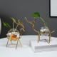 Desktop Hydroponic Flowerpot Decoration Fresh Desktop Small Fish Tank Office Desk Living Room Creative Plant Vase Decoration for Home Office Desktop Hydroponic Flowerpot Decoration Fresh Desktop Small Fish Tank Office Desk Living Room Creative Plant Vase Decoration for Home Office
