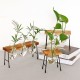Creative Glass Hydroponic Vase Office Desktop Decoration Green Plant Container Transparent Planter Fresh Office Desktop Decoration Vase for Office Creative Glass Hydroponic Vase Office Desktop Decoration Green Plant Container Transparent Planter Fresh Office Desktop Decoration Vase for Office