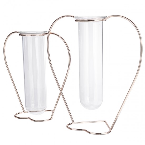 Crystal Glass Iron Test Tube Vase in Wooden Stand Flower Pots Plant Crystal Glass Iron Test Tube Vase in Wooden Stand Flower Pots Plant