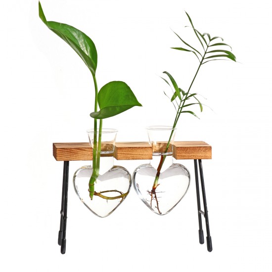 Creative Glass Hydroponic Vase Office Desktop Decoration Green Plant Container Transparent Planter Fresh Office Desktop Decoration Vase for Office Creative Glass Hydroponic Vase Office Desktop Decoration Green Plant Container Transparent Planter Fresh Office Desktop Decoration Vase for Office